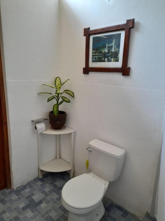 Casa Yoly Hostel Granada Extérieur photo